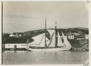 Image of Bowdoin at Battle Harbor, sails drying